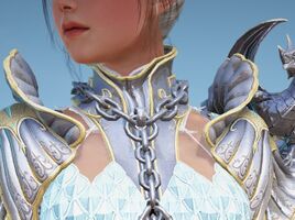Diclaire Neck1.jpg