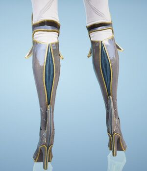 Diclaire Shoes3.jpg