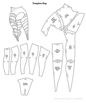 Ahsoka lekku pattern map.jpg