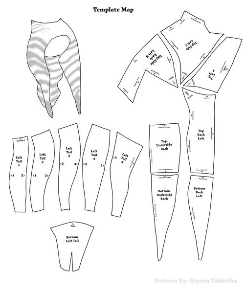 Datei:Ahsoka lekku pattern map.jpg