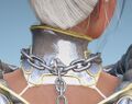 Diclaire Neck3.jpg