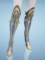 Diclaire Shoes1.jpg