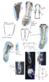 Bracers Breakdown.png
