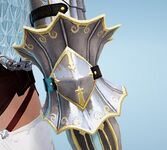 Diclaire Elbow3.jpg