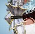 Diclaire Elbow2.jpg